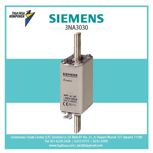 3NA3030 FUSE NH0 100A