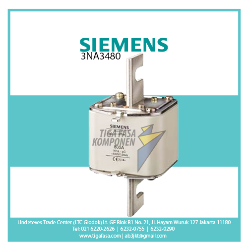 3NA3480 FUSE S4 1000A